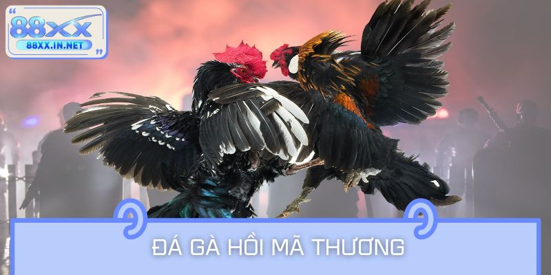 Đá Gà Hồi Mã Thương – Chiến Thuật Tạo Nên Những Pha Lật Kèo